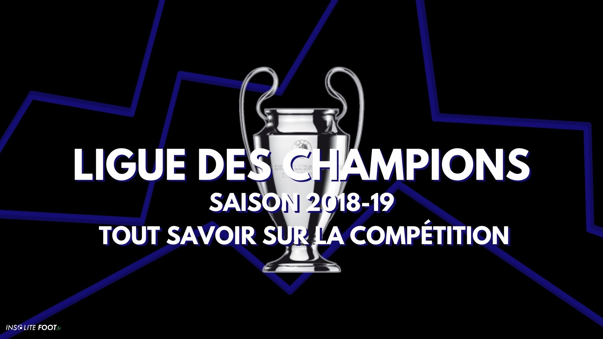 Flagermus lotteri Aja Ligue des Champions 2018-19 : résumé complet de la compétition