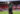 Tanguy Ndombélé sous les couleurs de Tottenham (Icon Sport)